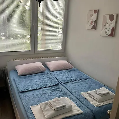 In The Center Of Apartment *