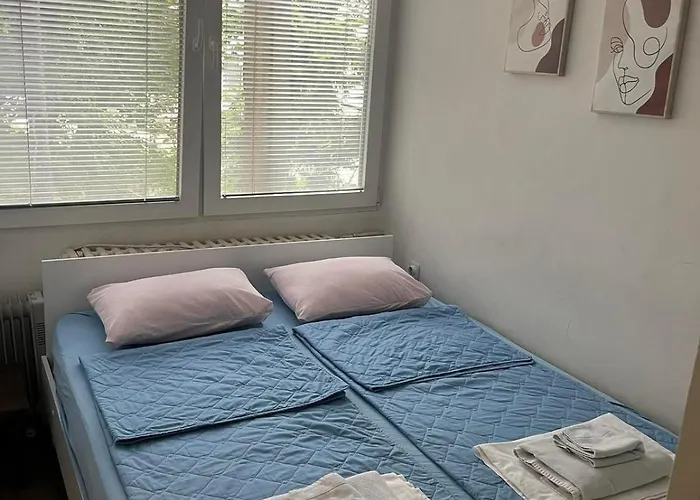 In The Center Of Apartment *